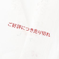 画像1: 半襟　麻絽 刺繍いろいろ　（06）
