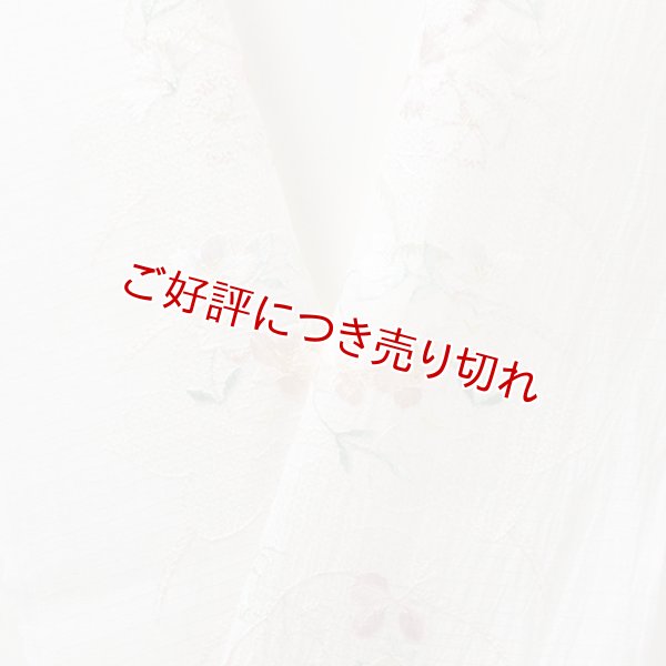 画像1: 半襟　麻絽 刺繍いろいろ　（06） (1)