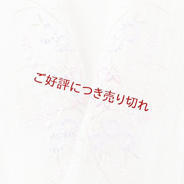 画像1: 半襟　麻絽 刺繍いろいろ　（03） (1)