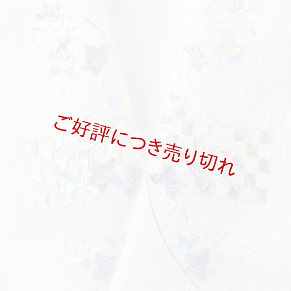画像1: 半襟　麻絽 刺繍いろいろ　（09） (1)