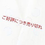 半襟　麻絽 刺繍いろいろ　（05）