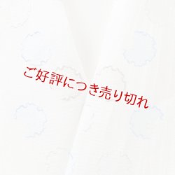 画像1: 半襟　麻絽 刺繍いろいろ　（05）