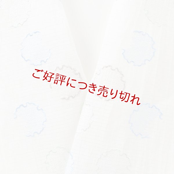 画像1: 半襟　麻絽 刺繍いろいろ　（05） (1)