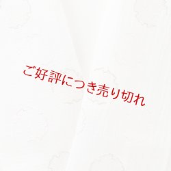 画像1: 半襟　麻絽 刺繍いろいろ　（04）
