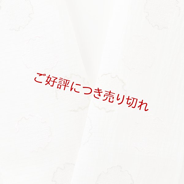 画像1: 半襟　麻絽 刺繍いろいろ　（04） (1)