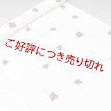 帯揚げ　楊柳絽白地千鳥　（01）