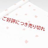 帯揚げ　楊柳絽白地千鳥　（02）