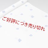 帯揚げ　楊柳絽白地千鳥　（05）