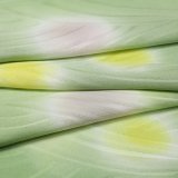 帯揚げ　紋紗さざなみ　二色水玉ぼかし　（03）