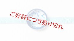 画像1: 帯留め　波千鳥（コンビ）