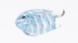 ガラス帯留め　slow sphatika（スロースパティカ）　熱帯魚 ※桐箱付き