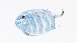 画像1: ガラス帯留め　slow sphatika（スロースパティカ）　熱帯魚
