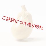 黄楊根付　なすび【岡壱名入り】（2026年6月15日掲載） ※桐箱付き