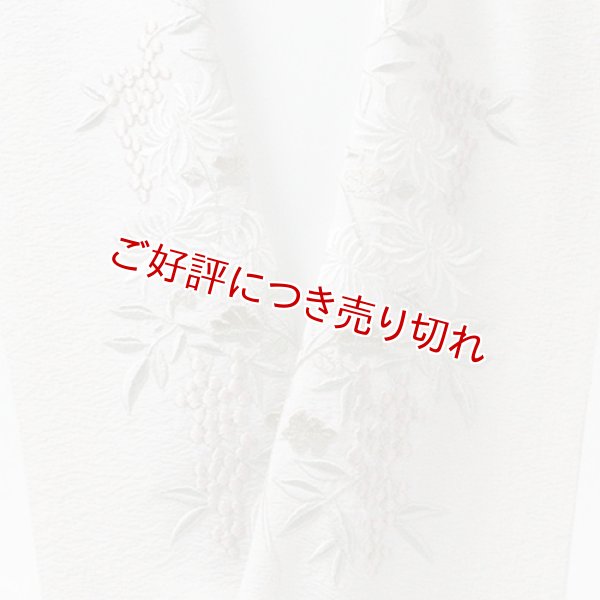 画像1: 刺繍半襟　南天　（01） (1)