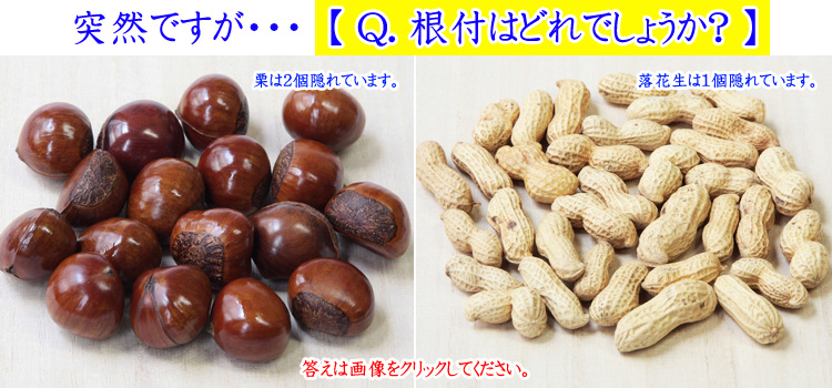本物そっくりの根付