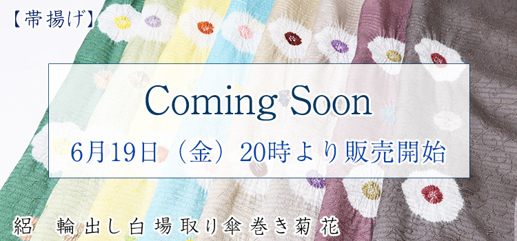 帯揚げ　絽　輪出し白場取り傘巻き菊花